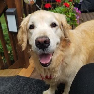 Meet your Posher, Doug